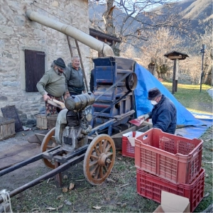 antico-metato-02